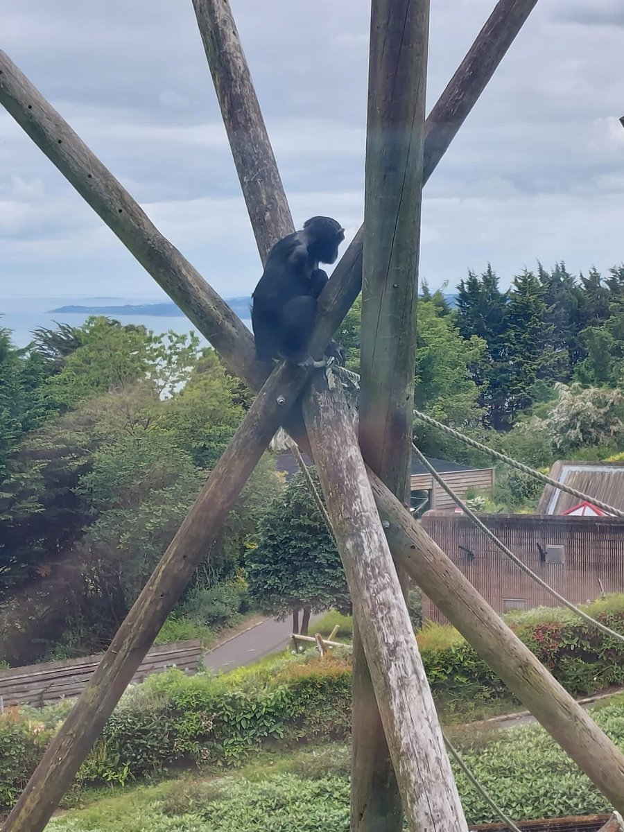 SJBC Science dept tweet media