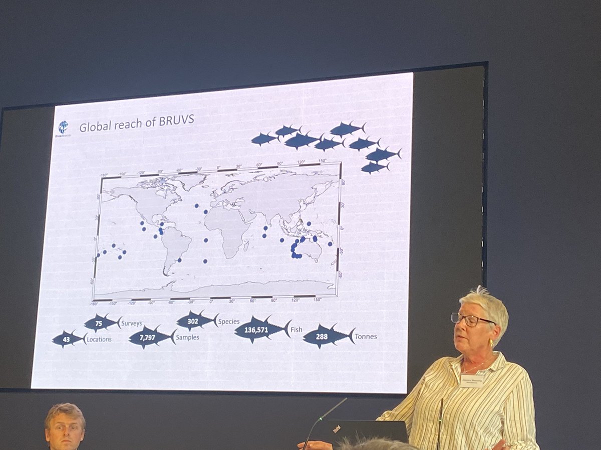 Heather Koldewey (@heatherkoldewey) on Twitter photo Fantastic presentation by <a href="/JessicaMeeuwig/">Jessica Meeuwig Dr.</a> <a href="/countingfishes/">Blue Abacus</a> <a href="/meeuwiglab/">Meeuwig lab</a> on the Global Ocean Wildlife Analysis Network with <a href="/ukgovbluebelt/">Blue Belt Programme</a>. Simple, cost effective, with research questions designed by users to help MPA management. Plus some very cool videos! #smallislandsbigimpact Fantastic presentation by <a href="/JessicaMeeuwig/">Jessica Meeuwig Dr.</a> <a href="/countingfishes/">Blue Abacus</a> <a href="/meeuwiglab/">Meeuwig lab</a> on the Global Ocean Wildlife Analysis Network with <a href="/ukgovbluebelt/">Blue Belt Programme</a>. Simple, cost effective, with research questions designed by users to help MPA management. Plus some very cool videos! #smallislandsbigimpact