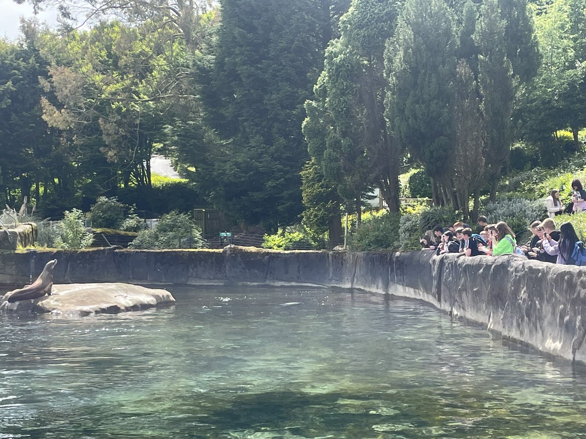 SJBC Science dept tweet media