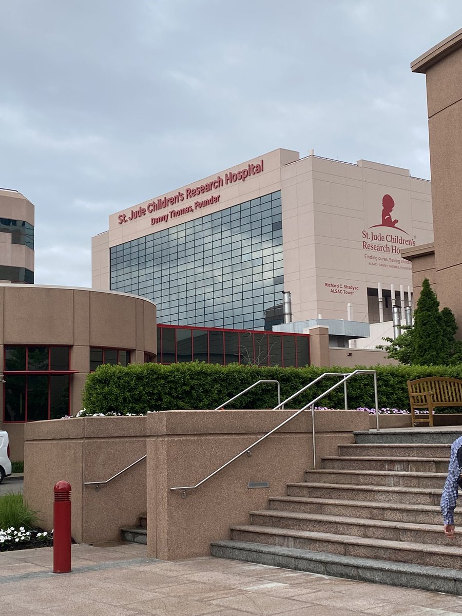 Emily Norton (@emilynorton295) on Twitter photo Visiting <a href="/StJudeResearch/">St. Jude Research</a> this week for the Future Fellow Research Conference. Excited to meet leaders in #CancerResearch , #neurooncology , and #neurogenesis !! #phdchat Visiting <a href="/StJudeResearch/">St. Jude Research</a> this week for the Future Fellow Research Conference. Excited to meet leaders in #CancerResearch , #neurooncology , and #neurogenesis !! #phdchat