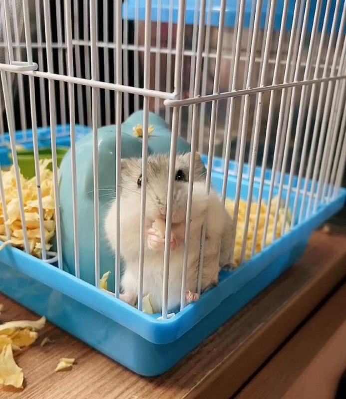 so cute it