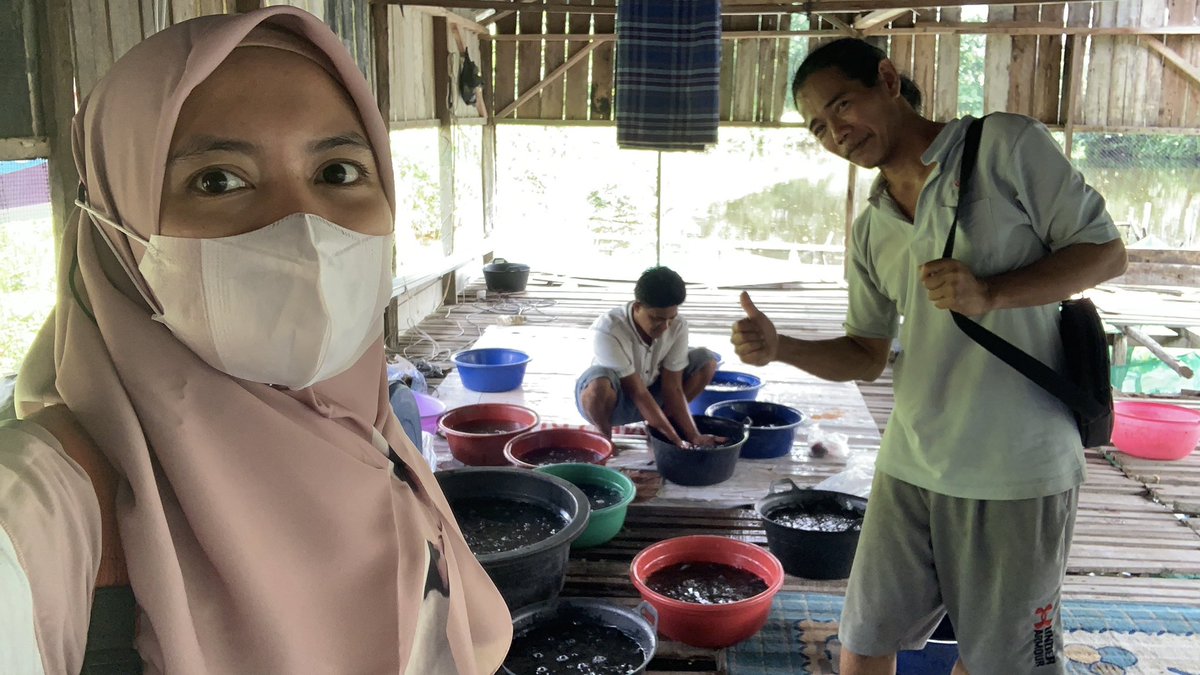 Arwinda_novitri's tweet photo. Rabu (08/6), Arwinda Novitri, PPB Kota Pekanbaru, di Pelaku Usaha an. Zeky W Pokdakan Projo Mukti Pebatuan mendampingi Panen Benih  Ikan Patin, sebanyak 5.000 ekor, Ukuran panen 3 inci, harga Rp.325/ekor #GiatLuhkanSatminkalMedan #Pekanbaru #Panen https://t.co/DALfJAsWYk