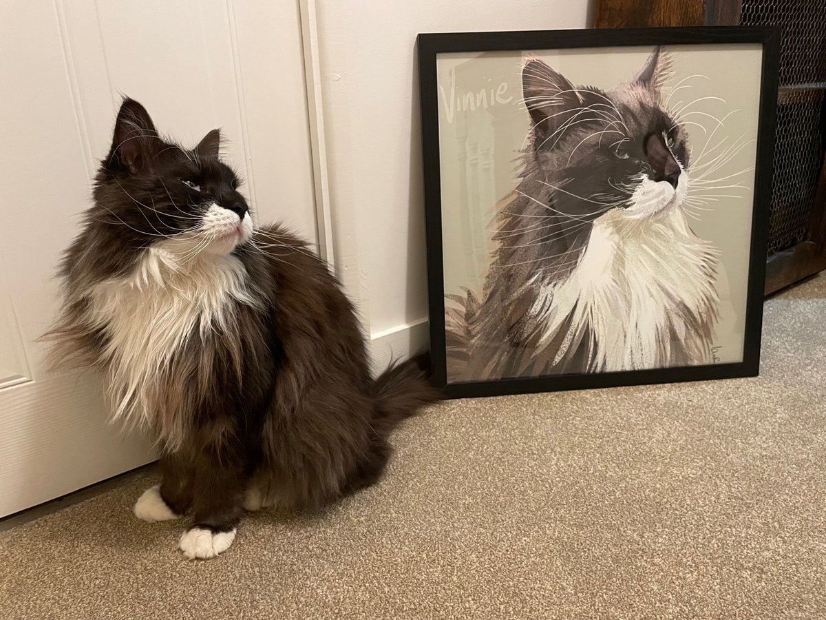 Vinnie ✨🐾

This glorious cat is so regal and has the most amazing whiskers - swipe left to see him modelling alongside his portrait like a pro

#strikeapose #topmodel #modelpet #modelcat #higgledyinkselfie #catportrait #interiordesign #mainecoon