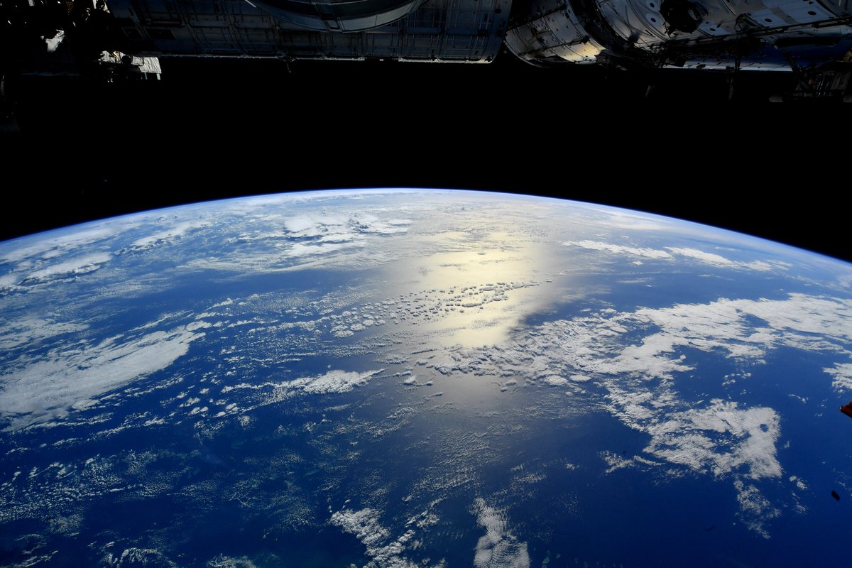 Our planet’s oceans – immense beauty and a largely still unexplored frontier, teeming with life, home to much of Earth’s #biodiversity. Earthlings, let’s do all we can to protect and restore our oceans’ ecosystems!  #WorldOceanDay #HumansToAction #MissionMinerva