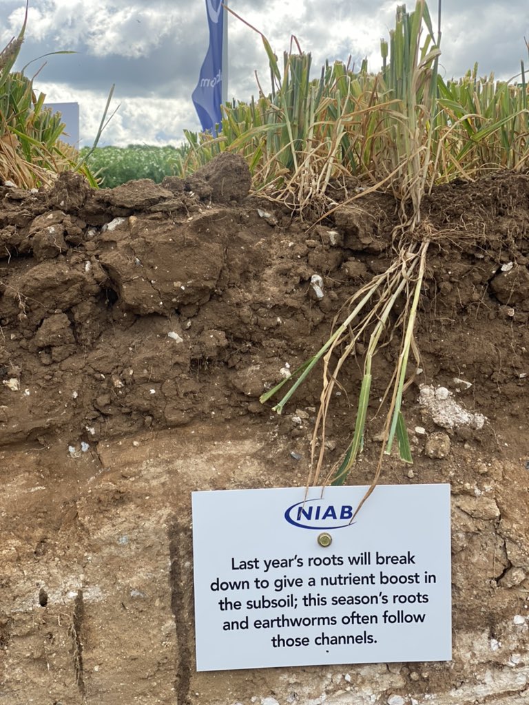 Worth a visit to the <a href="/niabgroup/">Niab</a> stand at <a href="/CerealsEvent/">Cereals Event</a> #soilhealth #soilorganicmatter <a href="/clubhectare2211/">Uk Farmers Agri Forum</a>  <a href="/FarmersOfTheUK/">Farmers Of The UK</a> <a href="/AgriChatUK/">AgriChatUK</a>