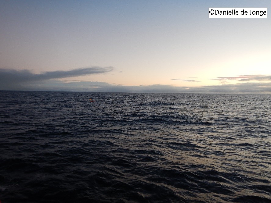 iAtlanticEU (@iatlanticeu) on Twitter photo Happy #WorldOceanDay2022! Do you know that the #ocean has hot spots? <a href="/iAtlanticEU/">iAtlanticEU</a> is studying these regions which are warming much faster than the average ocean. Read more about them & how they are associated with the #tropicalisation of #marine #fauna in our upcoming newsletter. Happy #WorldOceanDay2022! Do you know that the #ocean has hot spots? <a href="/iAtlanticEU/">iAtlanticEU</a> is studying these regions which are warming much faster than the average ocean. Read more about them & how they are associated with the #tropicalisation of #marine #fauna in our upcoming newsletter.