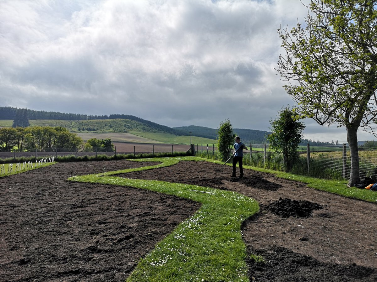 The meadow creation <a href="/AuchenblaePS/">Auchenblae Primary School</a> is well underway! Yesterday we put down the compost and sowed half of the area, with the other half being sown later this week. Once established it will be an amazing area for both children and wildlife 💚