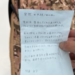 突然のラブレターに喜ぶなかれ!もしかしたらそれ、トラップかも!