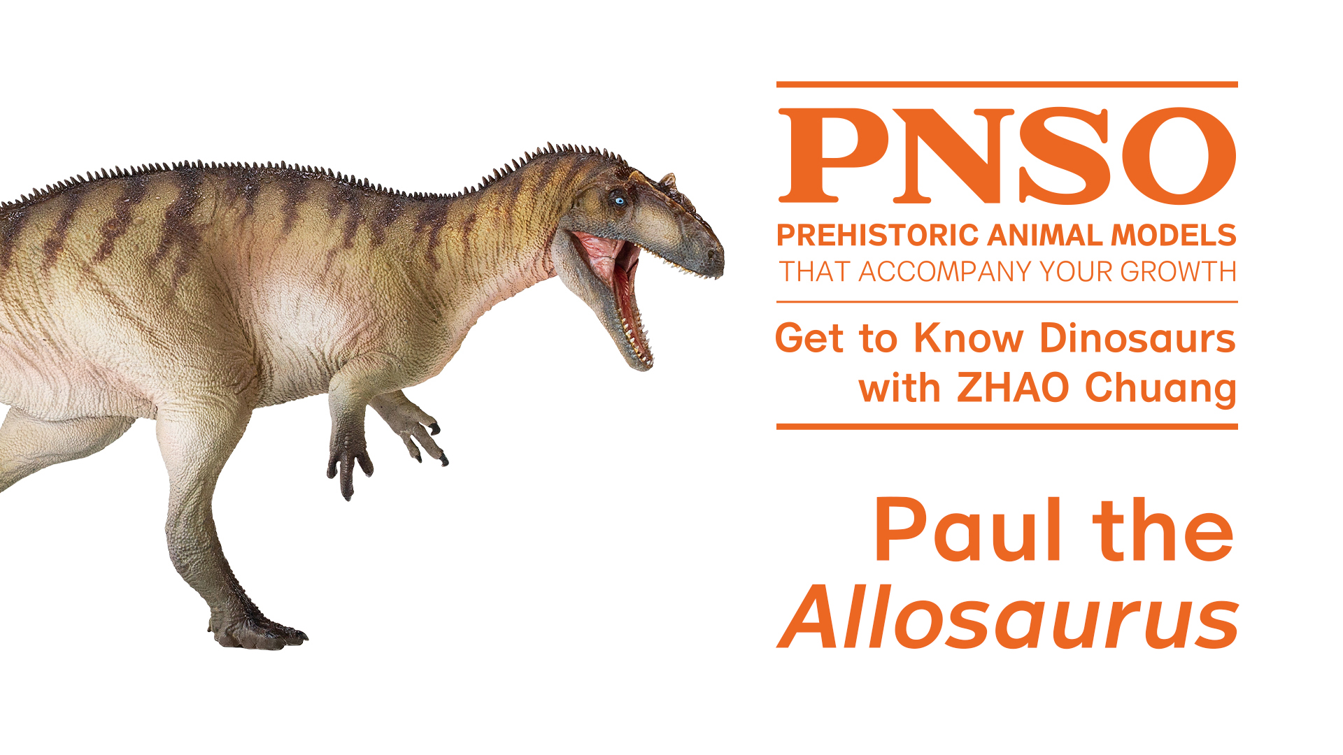PNSO on Twitter: PNSO on Twitter: