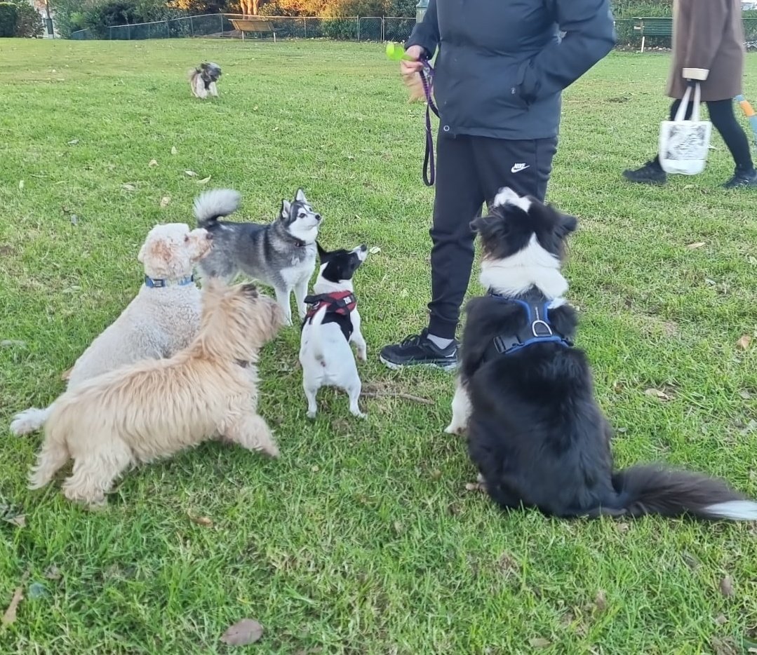 BusterTognini's tweet photo. My frends and me we want snaks this laydie did giv us many snaks and pats. https://t.co/FkOzbjbHsZ