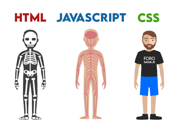 Sdesalvaje's tweet image. La diferencia entre HTML, JAVASCRIPT y CSS

El diseño web explicado en 1 imagen