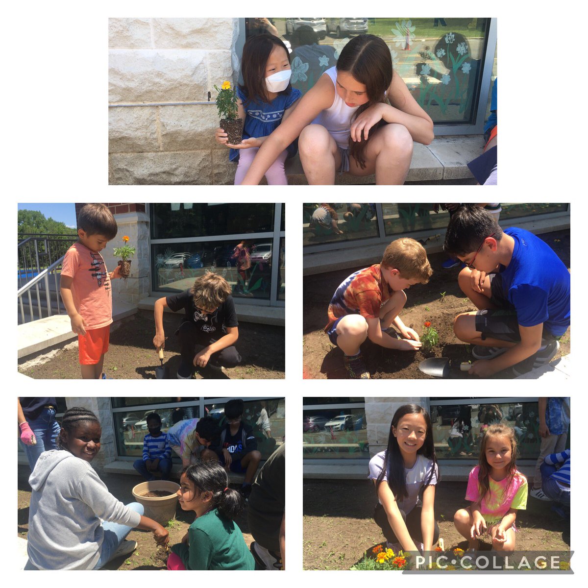 CraigsCrew's tweet photo. We worked with our K Buddies to make our garden look beautiful. It was a beautiful day to plant flowers! @HarrisonHawks90 https://t.co/zQk9RWRCSM