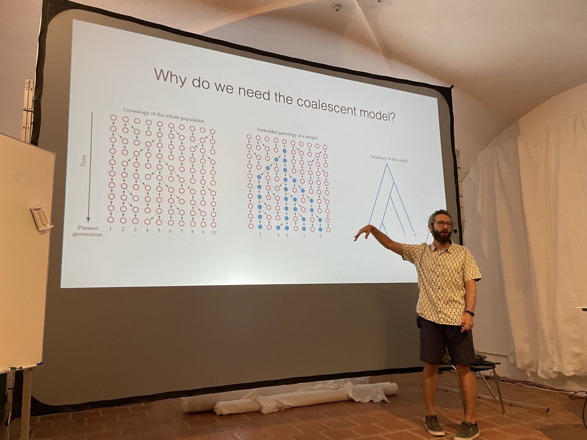 Enjoying a very interactive lecture on the coalescent by ⁦@3rdreviewer⁩ at ⁦@evomics⁩ #wpsg2022.