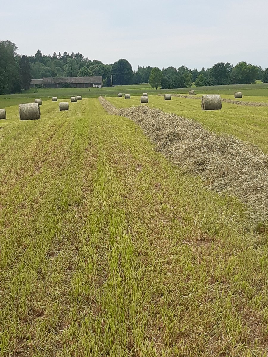 SakowiczAw's tweet photo. Only 😅💪 #Sipma #Podlasie https://t.co/ixpeGkKJd3