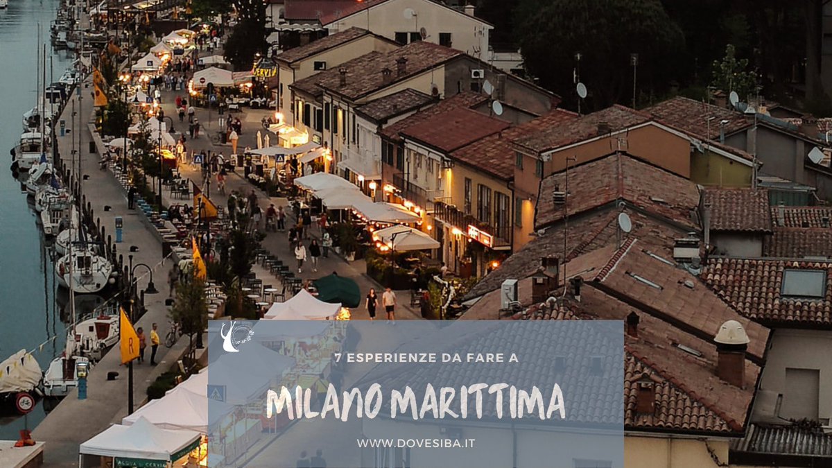 dovesiba tweet media