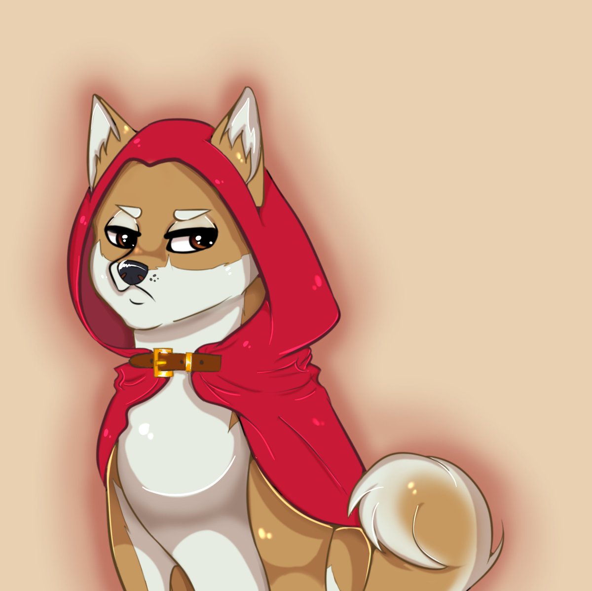 Club Shiba 🦴 tweet media