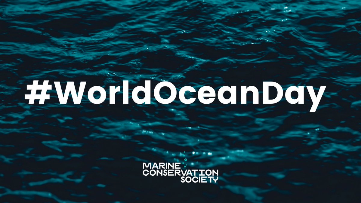 Marine Conservation Society tweet media