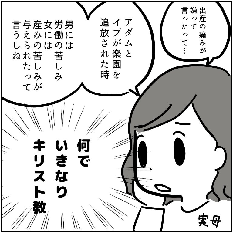 娘2人とも無痛分娩で出産したけど、周りに「無痛分娩イイネ!」と言ってくれる人はいなかった。
実母のこの発言が一番面白かったな笑 