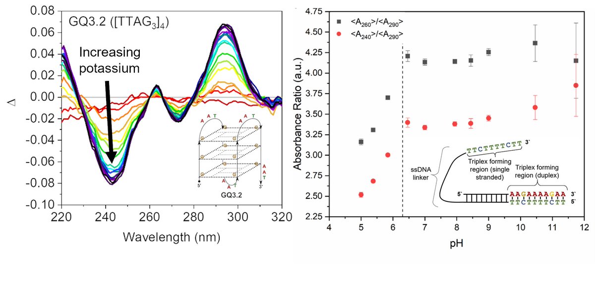 Katherine Dunn tweet media