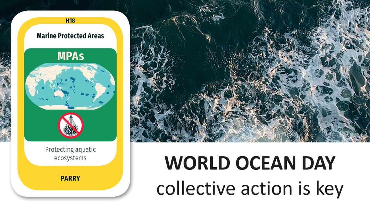 "Collective action" is the theme for World Ocean Day 2022.

Oceans are key to our economy, how does your company protect oceans and use its resources sustainably?

📷 Tomasz Baranowski, Wikimedia Common

#worldoceanday #SI #SustainabilityInstitute #protecttheocean #saveouroceans