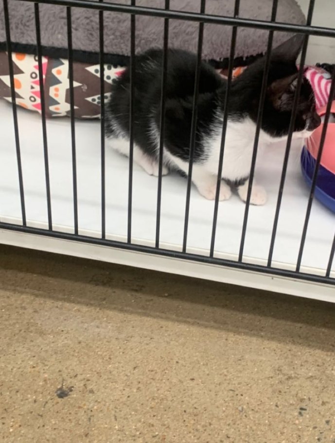 AndesFallon's tweet image. 