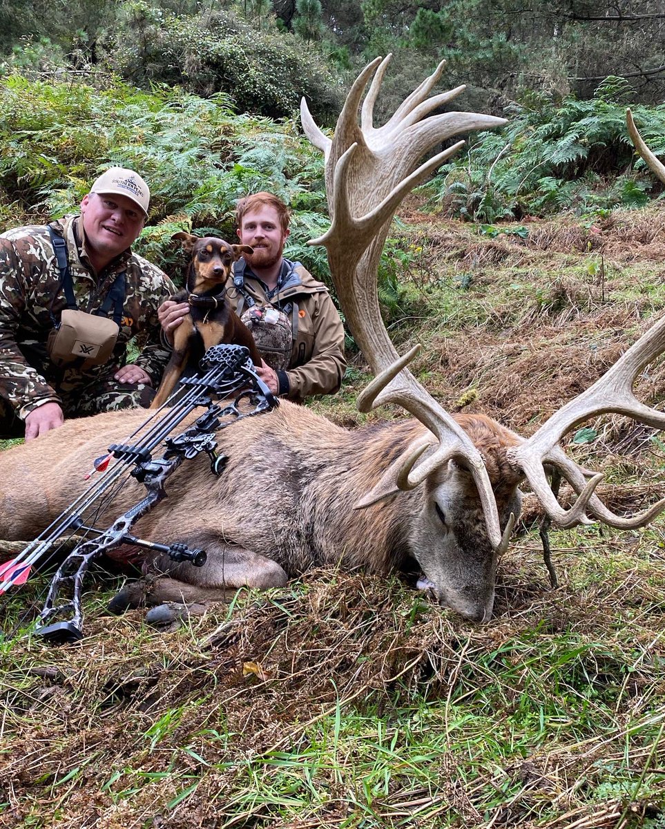 JacobOdermann's tweet photo. Getting it done in New Zealand!! #ironwilloutfitters #vortex #primearchery #southernpeaksafaris #reddeer #newzealand #firstlite https://t.co/8iwjrpCoYk