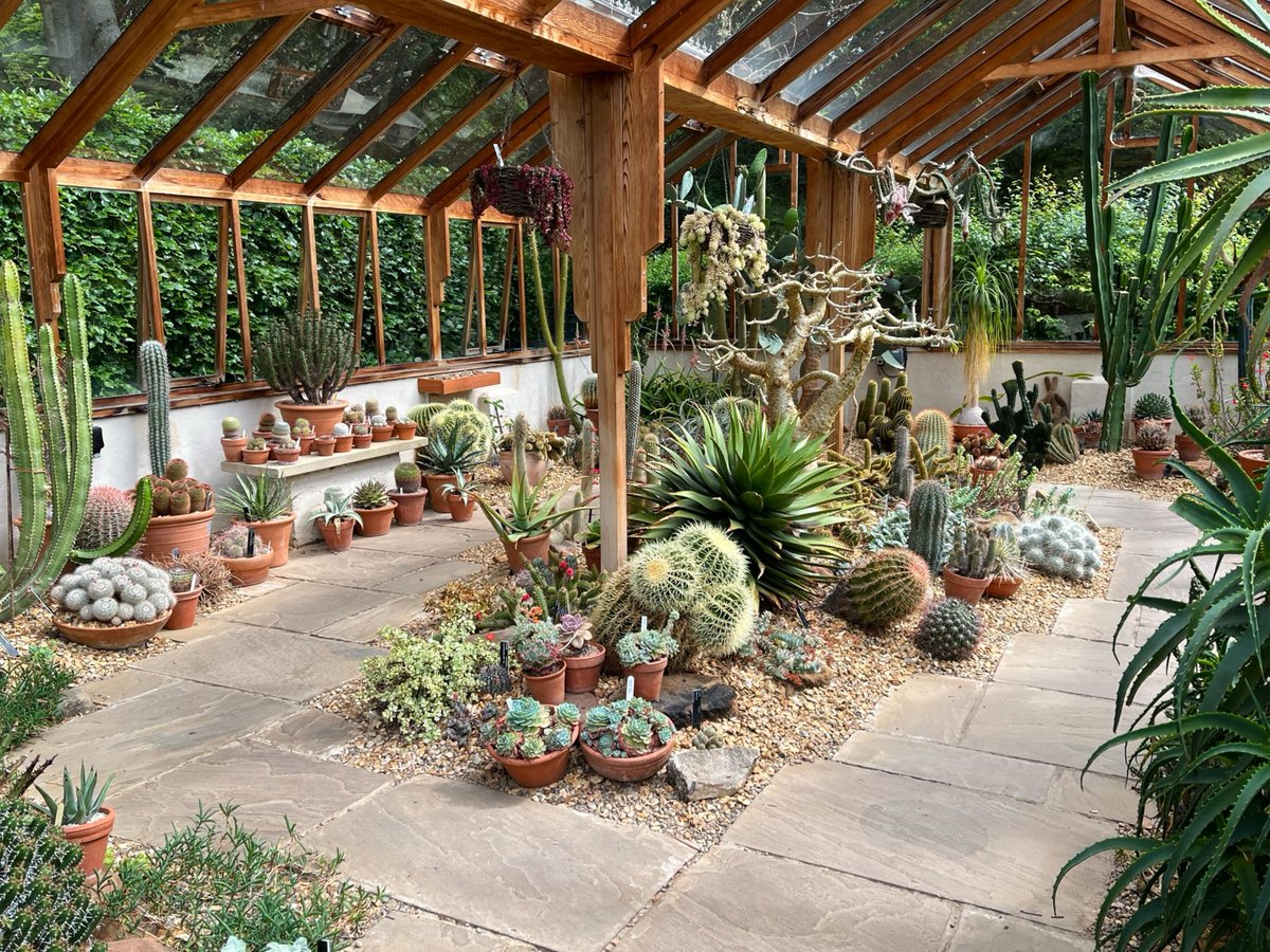 winterbournehg's tweet photo. Have you been in our Arid House recently?
There are so many different types of cacti and succulents to see! https://t.co/437bp7QFuH