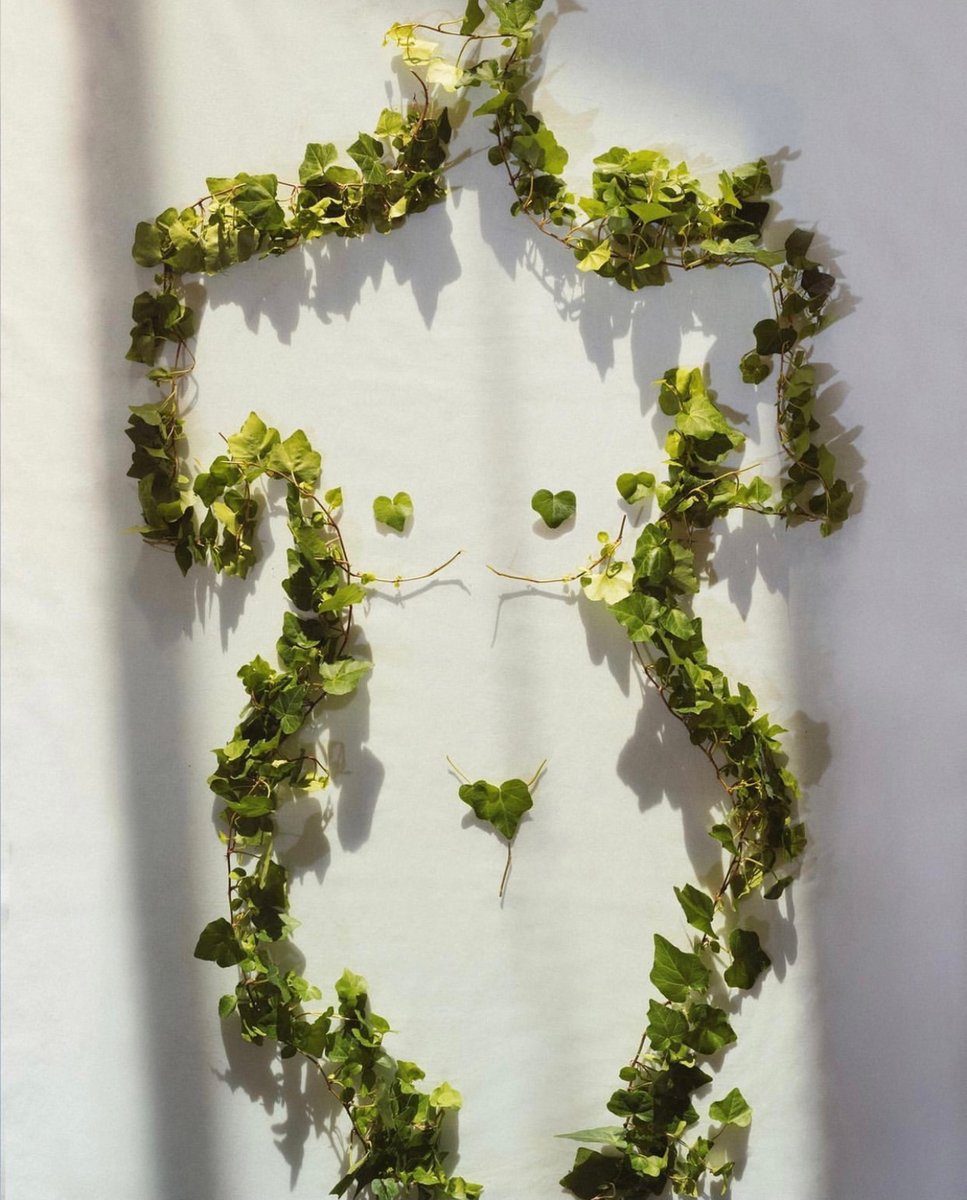 emtcbd's tweet photo. Imagine if your body had a tiny balancing system that contributed to every cell of your body working in harmony. Oh right!? We do!!! It’s called the Endocannabinoid System. Did you know we Humans can use phytocannabinoids to help balance this system!
Just imagine…a single pla https://t.co/dlERi7vWIG