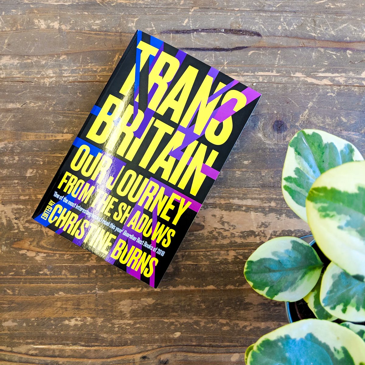 unboundsocials's tweet photo. We may be biased, but we'd say that no #Pride2022 reading list is complete without #TransBritain, edited by @christineburns.
Get your copy at @QueerLitUK, @gaystheword or right here from us: https://t.co/Xkivc7awdr https://t.co/hXjZzE2x5s