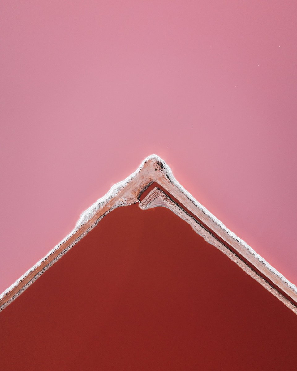 Lola Hubner tweet media