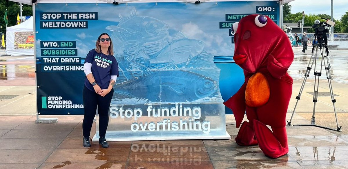 aida_ambiente's tweet photo. #DiaMundialDeLosOcéanos 
Organizaciones llaman a detener los subsidios pesqueros. Frente a las instalaciones de la @wto colocaron una escultura de hielo en forma de pez para mostrar la urgencia ante la sobrepesca. 

#stopFundingOverfishing #FisheriesSubsidies https://t.co/nRAg1ic0Jv
