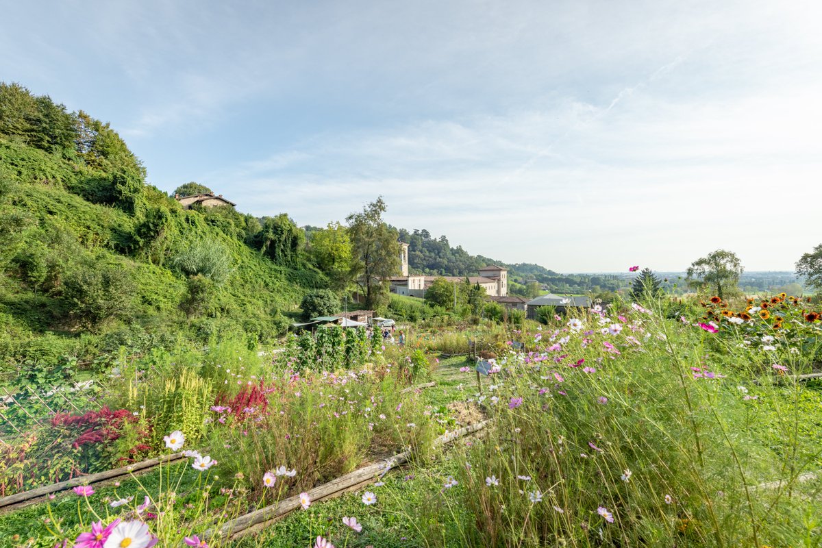 5/5
In the following days partners will work on their local bee paths development as well as learn about the Bergamo ULG and experience city culture and nature.