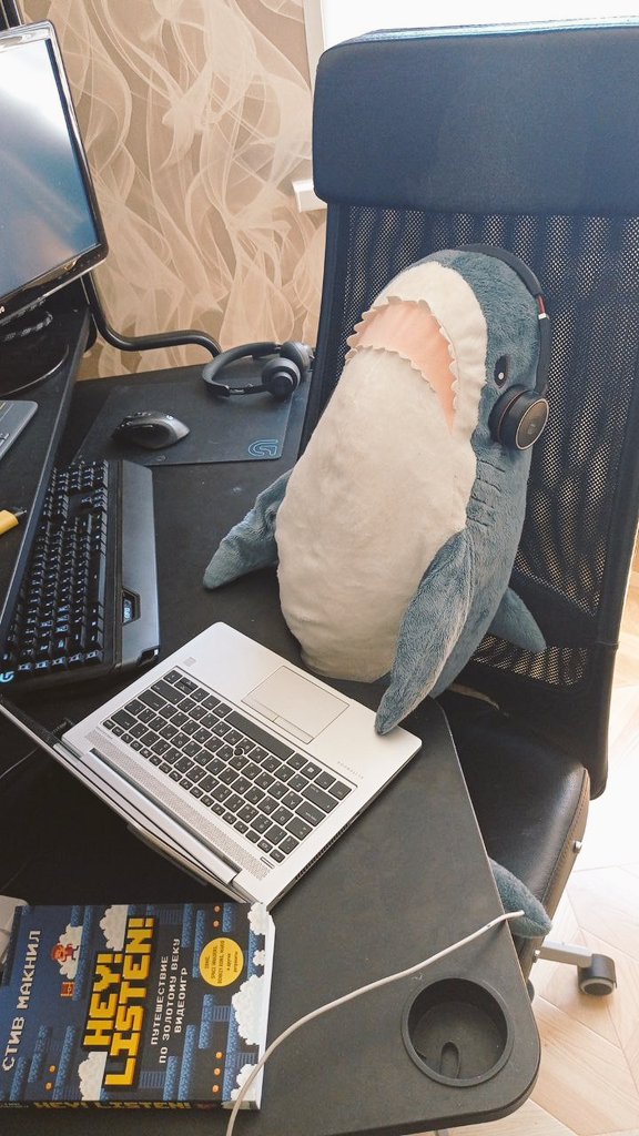 LittleCute_Evil's tweet photo. Работа на удалёнке выглядит примерно так: https://t.co/OVrDeM7Iax