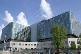 Hugo Bellut tweet media