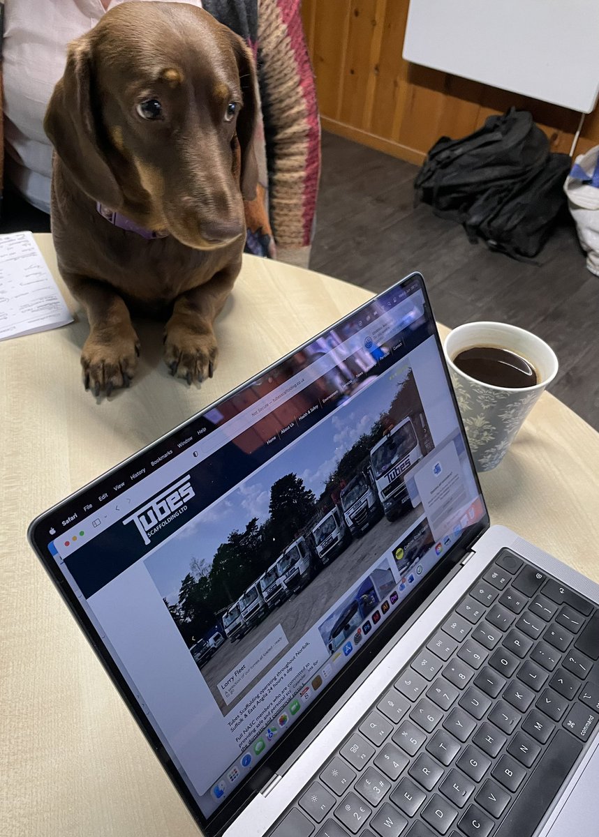 TubesScaffold's tweet photo. Great to meet with @splicecreative this morning and discuss our requirements for a sparkly new website!

It all became a little too much for Coco who soon realised that digital marketing wasn’t for her…

#TeamTubes #Scaffolding #NewWebsiteComingSoon https://t.co/lQbe78P3Ot