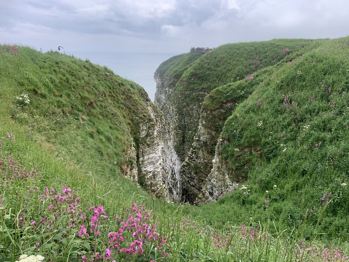 Mr_dewhirst's tweet image. The children have spotted a puffin @Bempton_Cliffs #brilliant #nationalfieldworkweek @HallfieldSchool @CranedaleCentre 😀⭐️☀️🌏 #creatingmemories