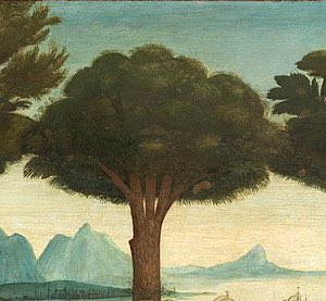 American Boccaccio Association tweet media