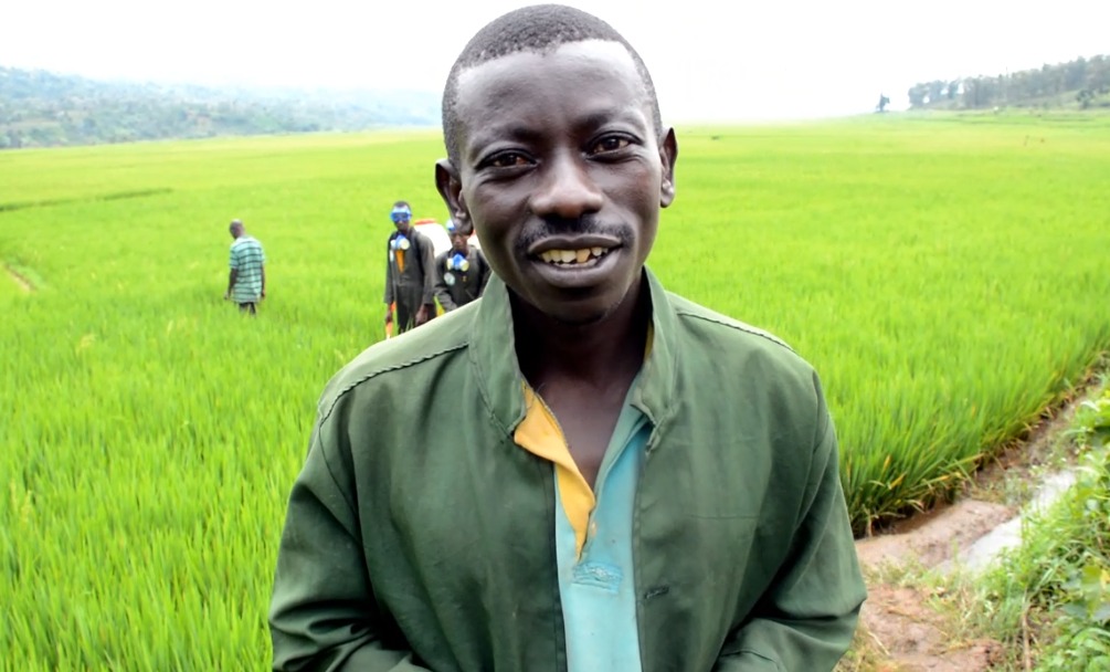 RwandaAgriBoard's tweet photo. Gilbert ashimira RAB ku kuba yarazanye aya mapompo kuko kuyakoresha arwanya ibyonnyi by'umuceri byamufashije kongera umusaruro kuruta uwo yarasanzwe asarura mbere. https://t.co/dwsbc3r7iy