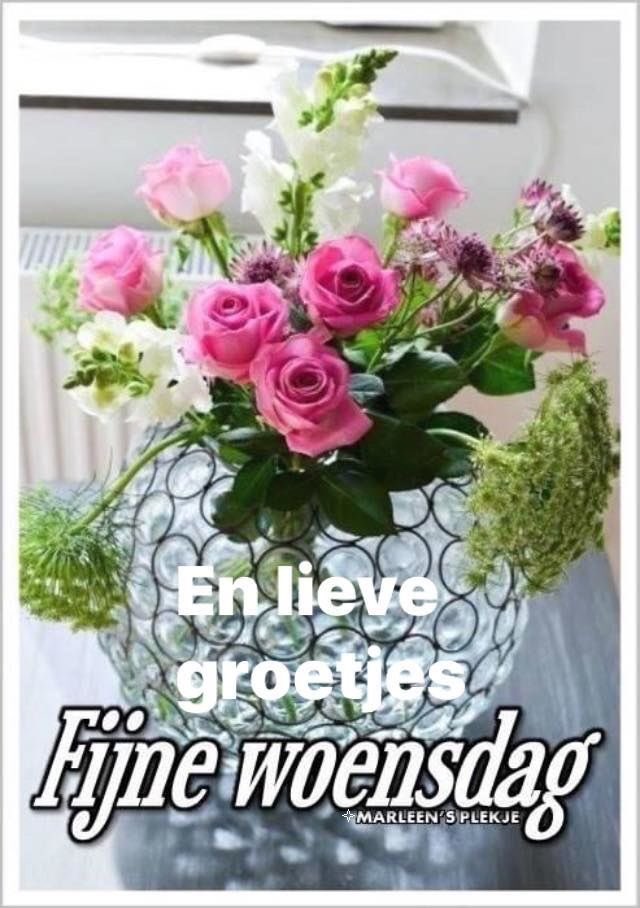 jenny 🌼🌸🌺 (@jenny68119220) on Twitter photo <a href="/limaRlove/">God is Great 🙏</a> <a href="/BruynChantal/">De Bruyn Chantal</a> <a href="/annievandenber2/">annie vandenberghe</a> <a href="/remcoromeo/">Remco🇳🇱💚💛</a> <a href="/Terrebelius/">Terrence 'Wappiepedia' Weynschenk</a> <a href="/JoopFillekes1/">Joop Fillekes</a> <a href="/TopogigioRini/">Rini van Son</a> <a href="/ArrasWilly/">Wim 🇧🇪🇮🇱❤️☘️☕🏆🙏♨️⚽</a> <a href="/AnitaKuipers5/">Anita Kuipers</a> <a href="/partlor/">🇳🇱Hans🇳🇱</a> <a href="/Dejong64Mar/">Mar de Jong</a> <a href="/BuddingLeo/">Leo Budding</a> <a href="/henk48501693/">Henknieuws 23/2024 🙏🐸</a> <a href="/AnitaVMe/">Anita</a> <a href="/BettinaBlankert/">Bettina Blankert</a> <a href="/daniel170376/">Daniël</a> <a href="/ReneRemis/">René Remis</a> <a href="/NicoletteBesem2/">Nicolette Besemer</a> <a href="/DeKledingbank/">Kb</a> <a href="/Leni68331265/">Leni</a> <a href="/JokeH15/">JokeH</a> @WalterMaes14 <a href="/AkuiperK/">Akuiper/kuiper5 ❤❤❤❤</a> <a href="/Noxy03721094/">Noxy</a> <a href="/FinaTimmer/">Fina Lankamp</a> <a href="/theodorus1948/">Theodorus1948</a> <a href="/LexVerzijl/">Lex Verzijlbergen</a> <a href="/FToirkens/">francien</a> <a href="/g_bouwer/">G J Bouwer</a> <a href="/gwagenaar37/">gwagenaar37@gmail.com</a> <a href="/Kanteldenker/">Marcel Kolder 🍀 @kanteldenker.bsky.social</a> <a href="/Doornuook/">Theodora</a> <a href="/Handhaver50/">John .</a> <a href="/TribbleSlayer_1/">Anja</a> <a href="/parel66/">JUSTICE FOR EVER.!!</a> <a href="/Gradjuh/">Gerard v/d Heide</a> <a href="/marielle19721/">marielle1972</a> <a href="/AnittaLie/">Margo Lie-A-Ling</a> <a href="/Helennetherland/">Helen ❌❌❌of volg mij op @LighthouseOne1 A.u.b.</a> <a href="/Roosje_48/">❤️Delphine🎗</a> <a href="/Gijsje37/">Gijsje</a> <a href="/veldman_ina/">Ina Veldman</a> <a href="/Voeten1/">Voeten</a> <a href="/bbb1949/">amsterdam</a> <a href="/Barbaratwitjes/">Barbara</a> <a href="/Angenita_Tweets/">Yvonne</a> <a href="/Johann0Johan/">Johann</a> <a href="/snakeindira/">madie daalders</a> <a href="/dnglntj/">Ingrid</a> <a href="/limaRlove/">God is Great 🙏</a> <a href="/BruynChantal/">De Bruyn Chantal</a> <a href="/annievandenber2/">annie vandenberghe</a> <a href="/remcoromeo/">Remco🇳🇱💚💛</a> <a href="/Terrebelius/">Terrence 'Wappiepedia' Weynschenk</a> <a href="/JoopFillekes1/">Joop Fillekes</a> <a href="/TopogigioRini/">Rini van Son</a> <a href="/ArrasWilly/">Wim 🇧🇪🇮🇱❤️☘️☕🏆🙏♨️⚽</a> <a href="/AnitaKuipers5/">Anita Kuipers</a> <a href="/partlor/">🇳🇱Hans🇳🇱</a> <a href="/Dejong64Mar/">Mar de Jong</a> <a href="/BuddingLeo/">Leo Budding</a> <a href="/henk48501693/">Henknieuws 23/2024 🙏🐸</a> <a href="/AnitaVMe/">Anita</a> <a href="/BettinaBlankert/">Bettina Blankert</a> <a href="/daniel170376/">Daniël</a> <a href="/ReneRemis/">René Remis</a> <a href="/NicoletteBesem2/">Nicolette Besemer</a> <a href="/DeKledingbank/">Kb</a> <a href="/Leni68331265/">Leni</a> <a href="/JokeH15/">JokeH</a> @WalterMaes14 <a href="/AkuiperK/">Akuiper/kuiper5 ❤❤❤❤</a> <a href="/Noxy03721094/">Noxy</a> <a href="/FinaTimmer/">Fina Lankamp</a> <a href="/theodorus1948/">Theodorus1948</a> <a href="/LexVerzijl/">Lex Verzijlbergen</a> <a href="/FToirkens/">francien</a> <a href="/g_bouwer/">G J Bouwer</a> <a href="/gwagenaar37/">gwagenaar37@gmail.com</a> <a href="/Kanteldenker/">Marcel Kolder 🍀 @kanteldenker.bsky.social</a> <a href="/Doornuook/">Theodora</a> <a href="/Handhaver50/">John .</a> <a href="/TribbleSlayer_1/">Anja</a> <a href="/parel66/">JUSTICE FOR EVER.!!</a> <a href="/Gradjuh/">Gerard v/d Heide</a> <a href="/marielle19721/">marielle1972</a> <a href="/AnittaLie/">Margo Lie-A-Ling</a> <a href="/Helennetherland/">Helen ❌❌❌of volg mij op @LighthouseOne1 A.u.b.</a> <a href="/Roosje_48/">❤️Delphine🎗</a> <a href="/Gijsje37/">Gijsje</a> <a href="/veldman_ina/">Ina Veldman</a> <a href="/Voeten1/">Voeten</a> <a href="/bbb1949/">amsterdam</a> <a href="/Barbaratwitjes/">Barbara</a> <a href="/Angenita_Tweets/">Yvonne</a> <a href="/Johann0Johan/">Johann</a> <a href="/snakeindira/">madie daalders</a> <a href="/dnglntj/">Ingrid</a>