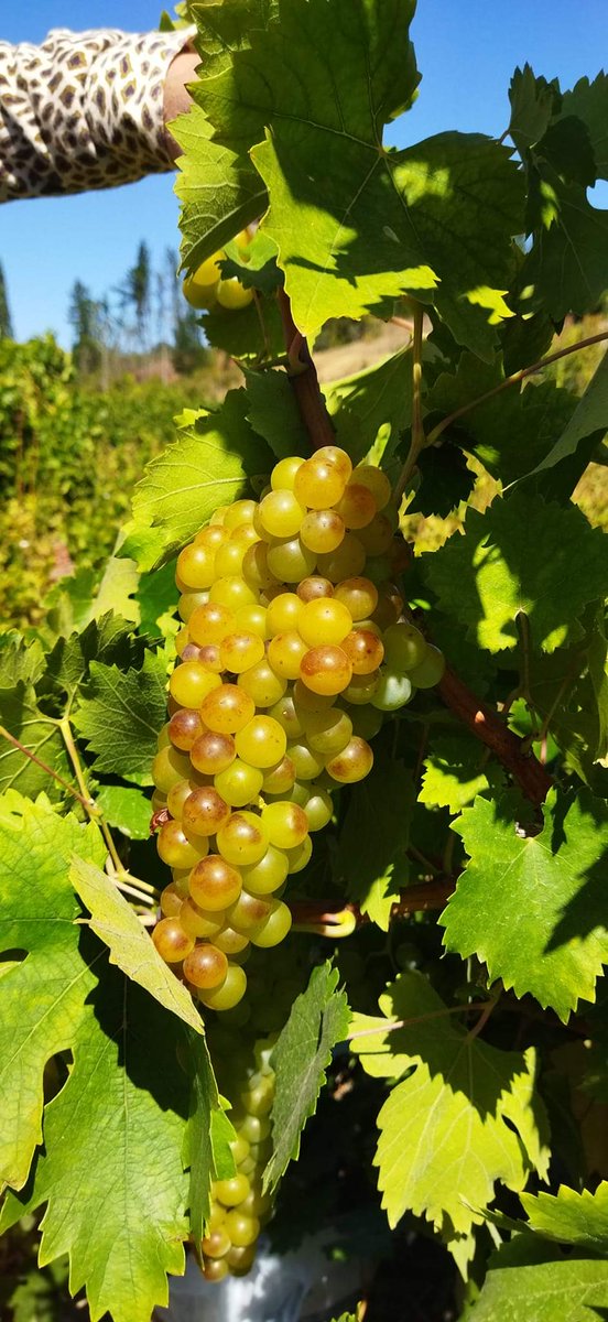 MAKPIA LEBAM #Research #TheSunMoves tweet media