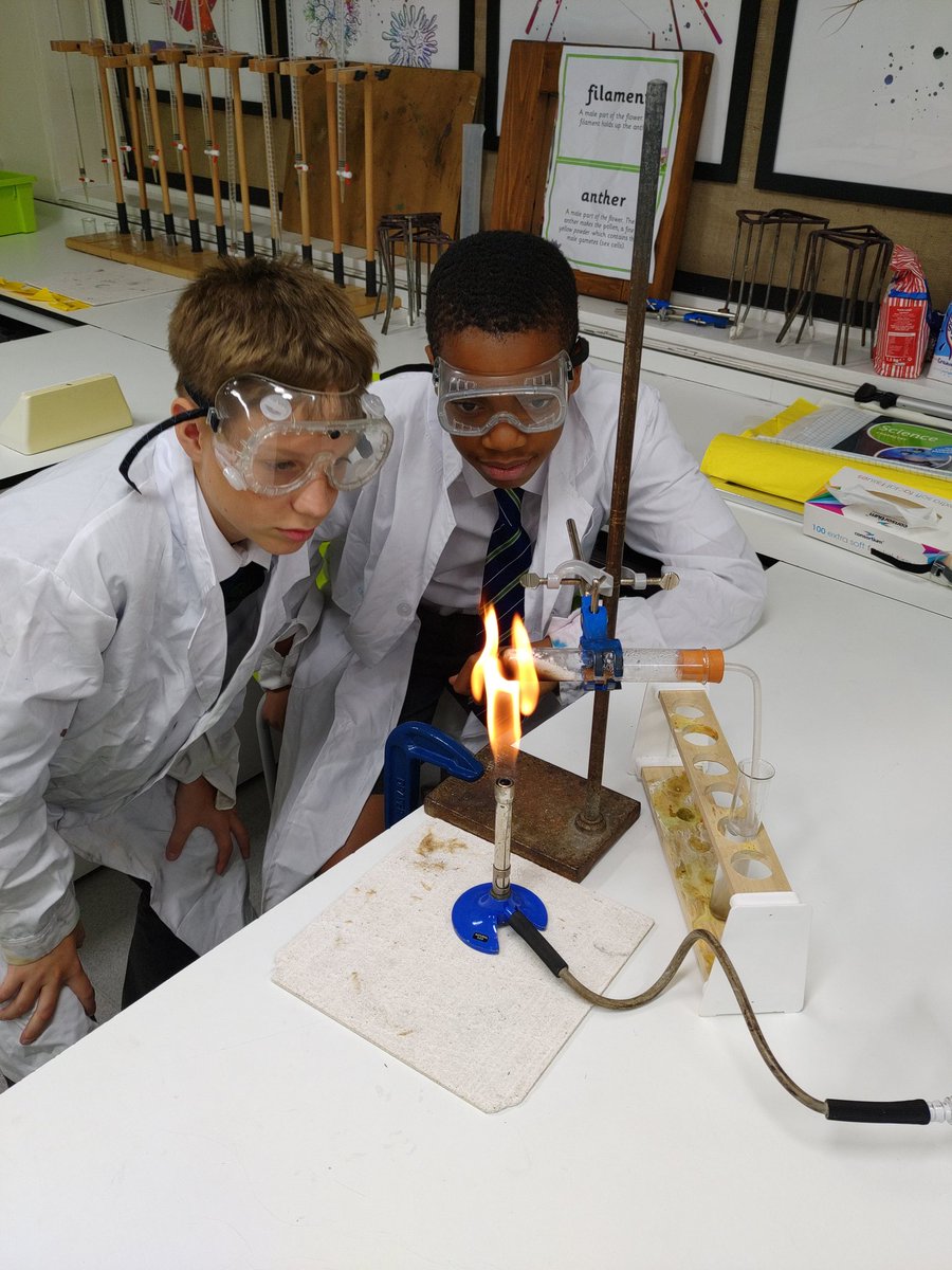 St Anthony's Boys Science tweet media