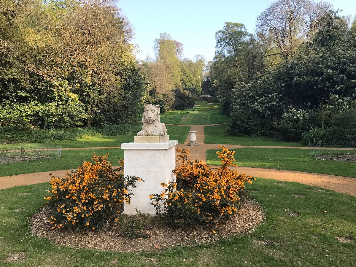 DeepdeneTrail's tweet image. Soak up the sunshine at #TheDeepdeneTrail this morning!

Why not make the most of the weather today by exploring our grounds?

#Nature #Explore #Walks #Heritage #Dorking #MoleValley