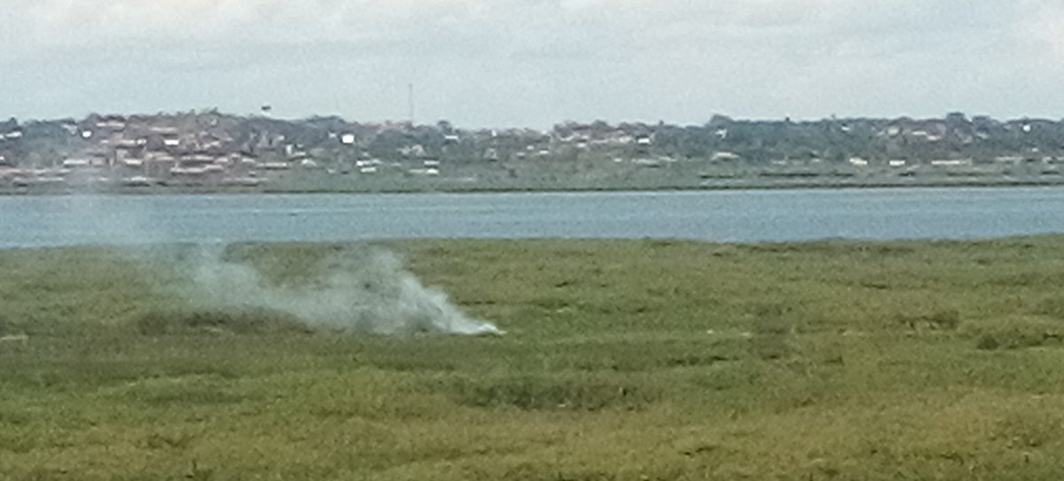 Farmers that burn papyrus to create plots to grow their crops in wetlands should be discouraged at all costs as that endangers the functionality of the wetland ecosystem