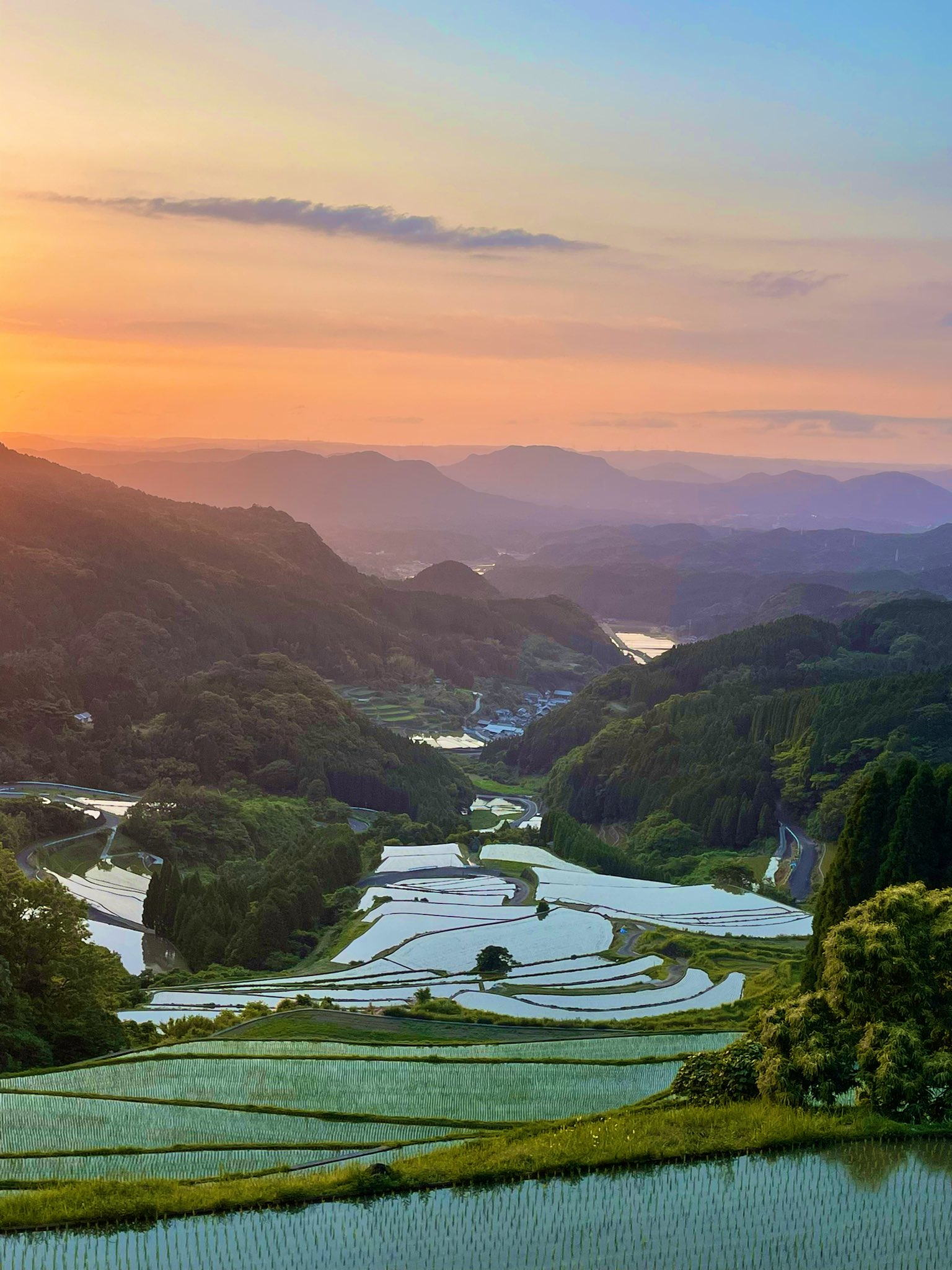 からつキャッスル 遺したい風景 佐賀 唐津 棚田 蕨野の棚田 風景 ゾンビランドサガ ユーリオンアイス T Co Kbkmpbzgex Twitter からつキャッスル 遺したい風景 佐賀 唐津 棚田 蕨野の棚田 風景 ゾンビランドサガ ユーリオンアイス T Co Kbkmpbzgex Twitter