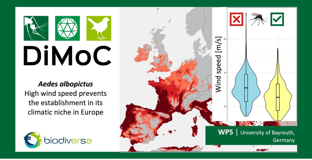 DiMoC (@dimoc11) on Twitter photo Research published in <a href="/FrontEnvSci/">Frontiers - Environmental Science</a>: High wind speed prevents the establishment of the disease vector mosquito #Aedesalbopictus in its climatic niche in Europe. Author team from @BayreuthBiogeo at <a href="/unibt/">Universität Bayreuth</a> in #DiMoC Project <a href="/BiodivERsA3/">BiodivERsA3</a>: frontiersin.org/articles/10.33… Research published in <a href="/FrontEnvSci/">Frontiers - Environmental Science</a>: High wind speed prevents the establishment of the disease vector mosquito #Aedesalbopictus in its climatic niche in Europe. Author team from @BayreuthBiogeo at <a href="/unibt/">Universität Bayreuth</a> in #DiMoC Project <a href="/BiodivERsA3/">BiodivERsA3</a>: frontiersin.org/articles/10.33…