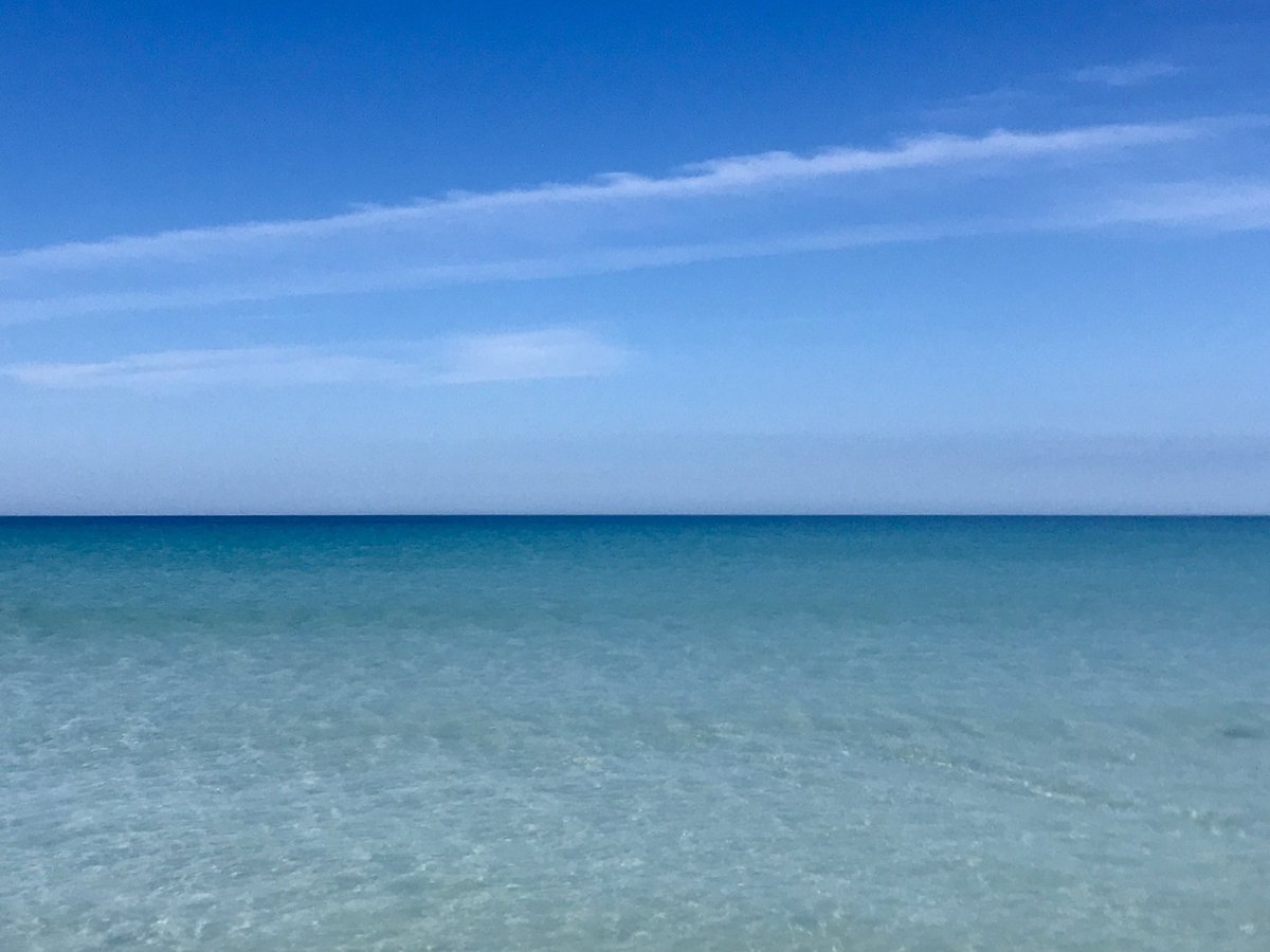 WGS Eco Committee tweet media