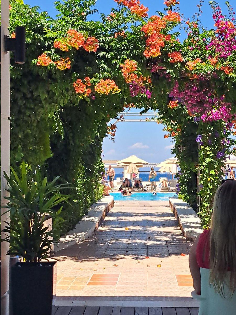 crazykaz06's tweet photo. Paradise #chilled #relaxed #rhodes https://t.co/1MNFTHJRRu