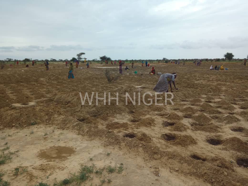 SallyMahamane's tweet photo. La #sécuritéalimentaire doit être au cœur des politiques de #projets et #programmes #humanitaires et de #développement surtout en cette période d'#insécurité au #Niger.
Crédit photo:@WHHNiger
#PourUnMondeSansFaim #RecupérationDeTerresDegradées
#C4Dev https://t.co/7XZpg6WSPB