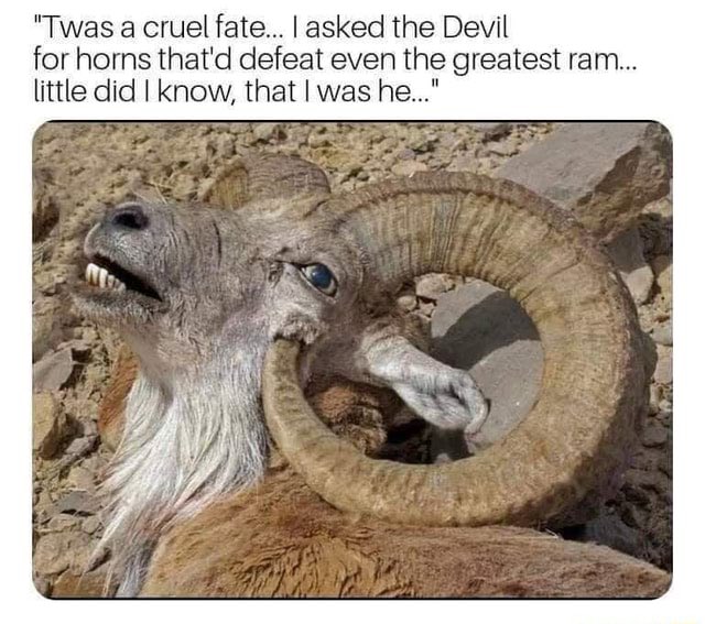 Warchief Carlos S. Nuñez tweet media