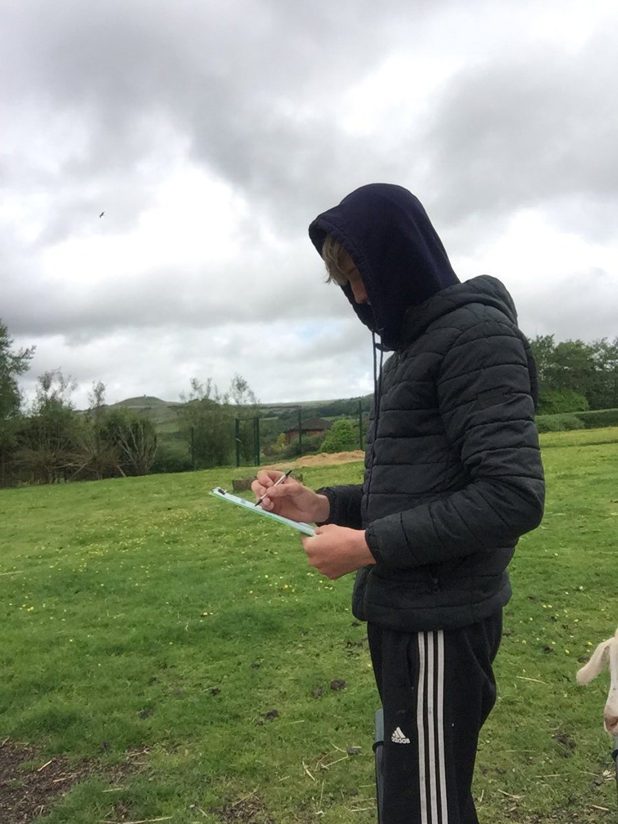 Livvi_Fay's tweet photo. The boys doing some maintenance work today. #schoolfarm #farmlife #LPTF @bolton_pru @LeverParkSchool https://t.co/SYy5EKd6zu